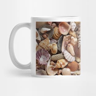 Seashells Mug